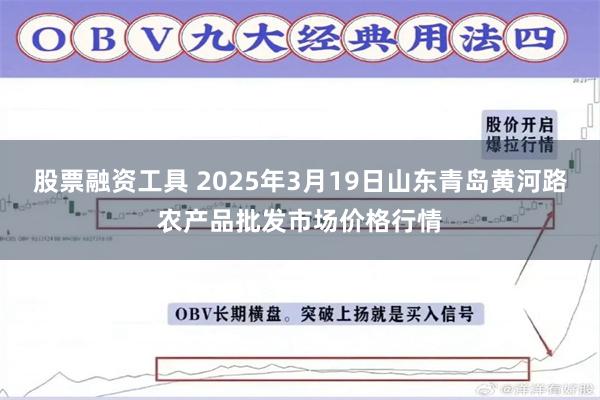 股票融资工具 2025年3月19日山东青岛黄河路农产品批发市场价格行情