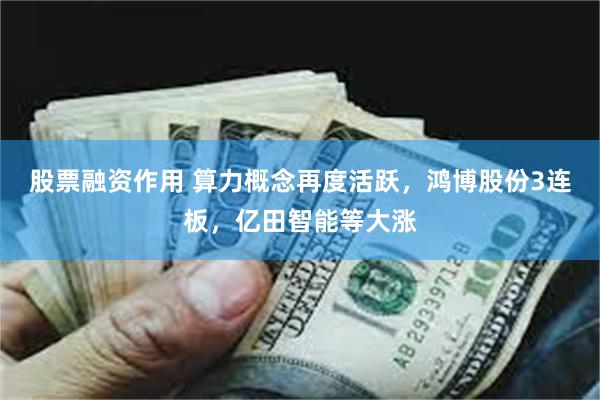 股票融资作用 算力概念再度活跃，鸿博股份3连板，亿田智能等大涨
