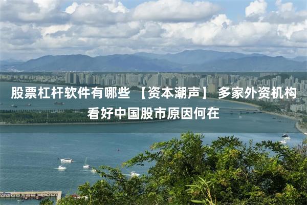 股票杠杆软件有哪些 【资本潮声】 多家外资机构看好中国股市原因何在
