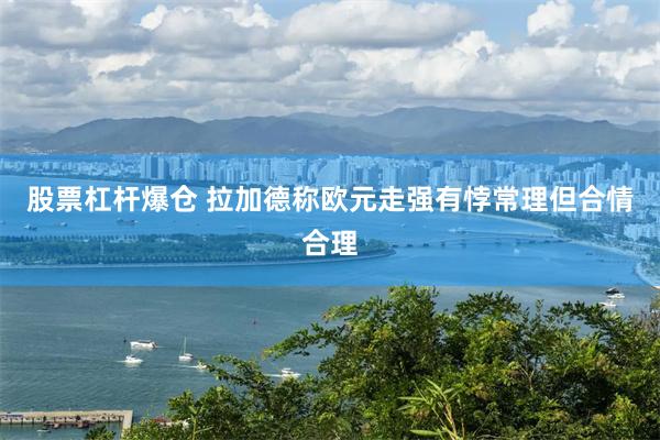 股票杠杆爆仓 拉加德称欧元走强有悖常理但合情合理