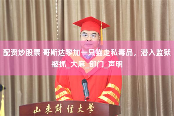 配资炒股票 哥斯达黎加一只猫走私毒品，潜入监狱被抓_大麻_部门_声明