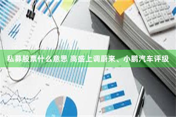 私募股票什么意思 高盛上调蔚来、小鹏汽车评级