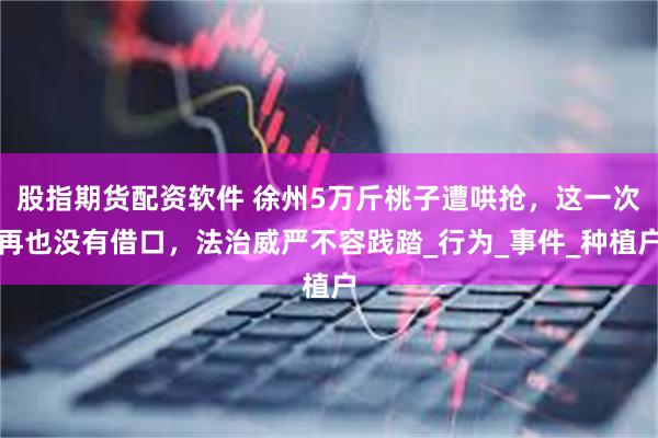 股指期货配资软件 徐州5万斤桃子遭哄抢，这一次再也没有借口，法治威严不容践踏_行为_事件_种植户