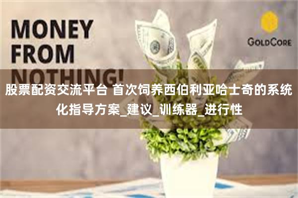 股票配资交流平台 首次饲养西伯利亚哈士奇的系统化指导方案_建议_训练器_进行性