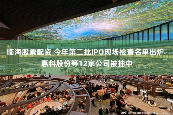 临海股票配资 今年第二批IPO现场检查名单出炉 惠科股份等12家公司被抽中