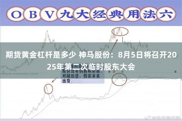期货黄金杠杆是多少 神马股份：8月5日将召开2025年第二次临时股东大会