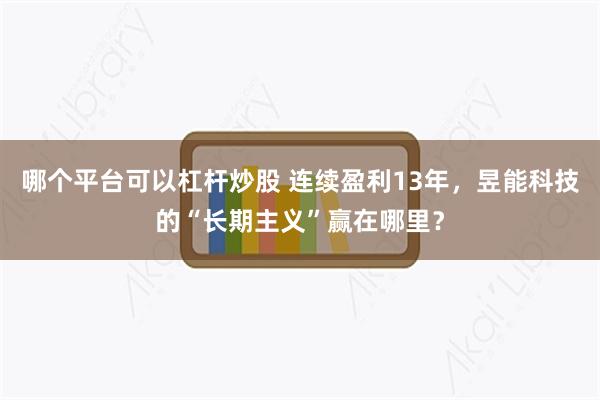 哪个平台可以杠杆炒股 连续盈利13年，昱能科技的“长期主义”赢在哪里？