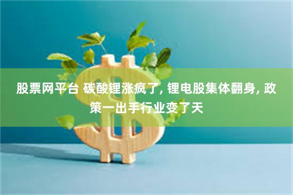 股票网平台 碳酸锂涨疯了, 锂电股集体翻身, 政策一出手行业变了天