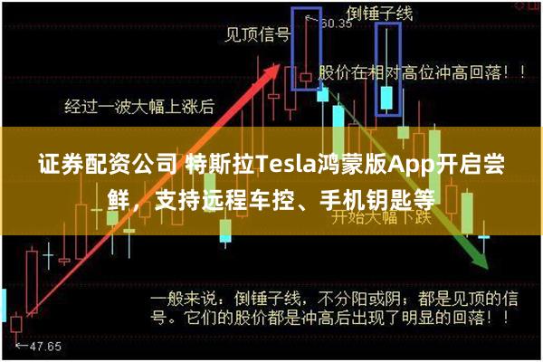 证券配资公司 特斯拉Tesla鸿蒙版App开启尝鲜，支持远程车控、手机钥匙等